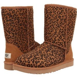 Leopard Ugg